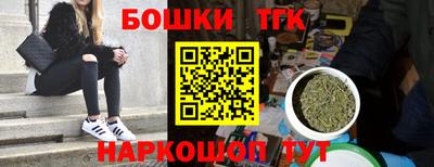 мдпв Славгород