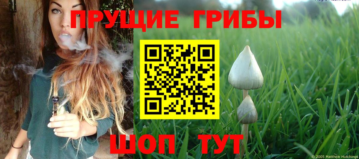 Галлюциногенные грибы Magic Shrooms Белебей
